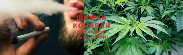 гидропоника Тында