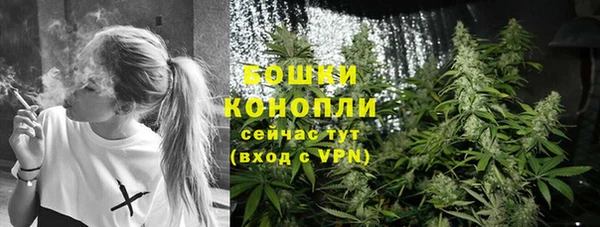 первитин Туринск